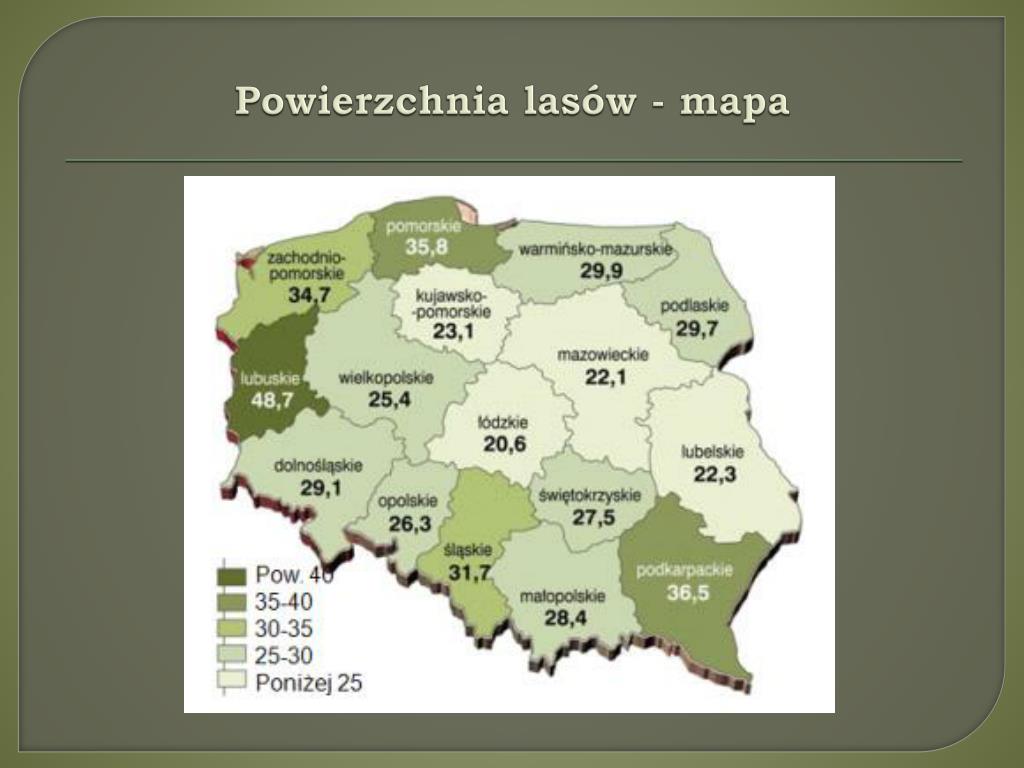 PPT - Szata roślinna i świat zwierzęcy Polski PowerPoint Presentation
