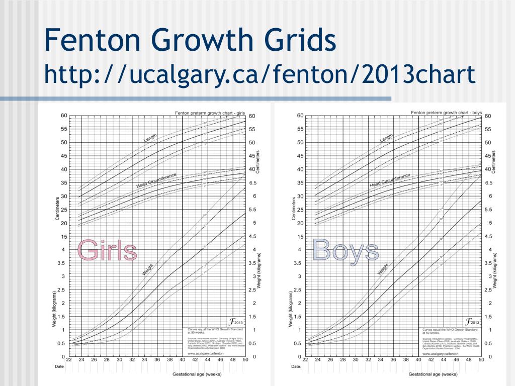 Fenton Growth Chart