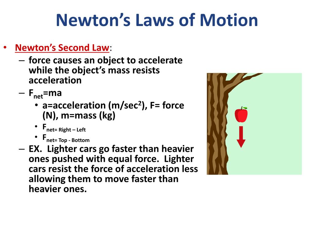 PPT - Motion: Speed, Velocity, Acceleration, and Forces PowerPoint ...