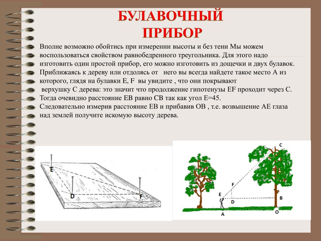 Тень земли высота. Измерение высоты дерева. Способы измерения высоты дерева. Булавочный прибор для измерения высот. Приборы для измеряют высоту дерева.