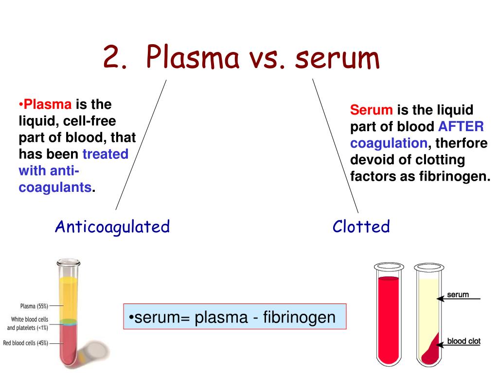 La Difference Entre Plasma Et Serum PPT - Plasma Proteins PowerPoint Presentation, free download - ID:4523446
