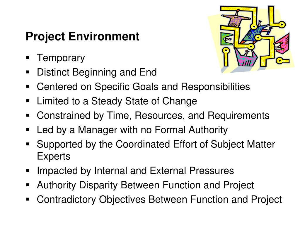 environment of project meaning