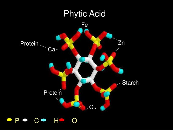 Phytic Acid Definition In American English – JGJR