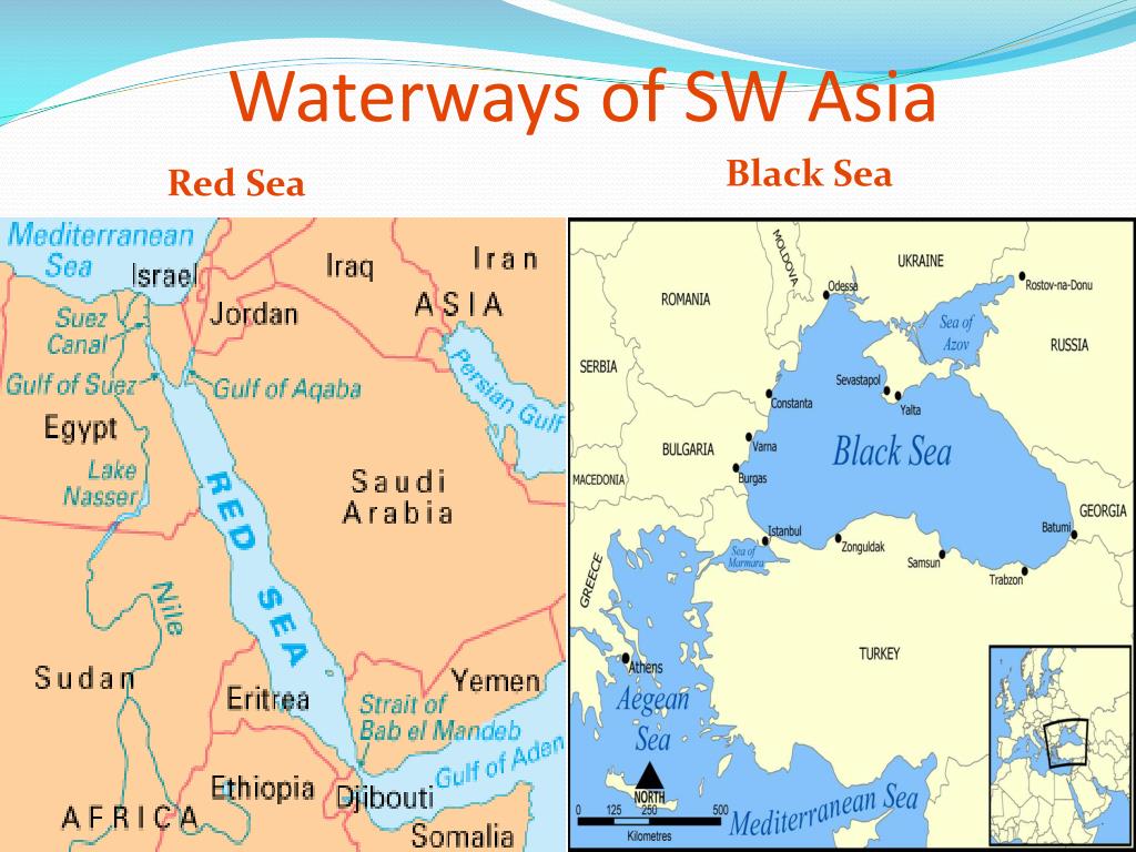 Asia Black 25 Купить