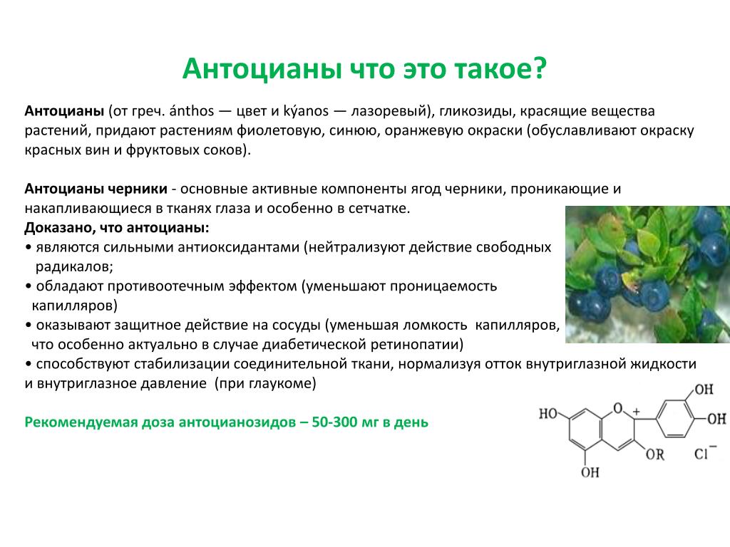 Синтез антоцианов. Антоциан. Антоцианы в растениях. Антоцианы в продуктах. Пигмент антоциан.