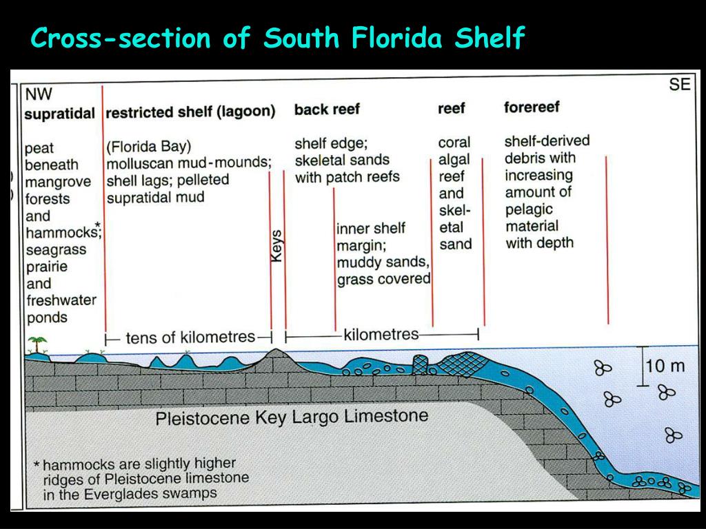 oolite depositional environment oolite depositional environment