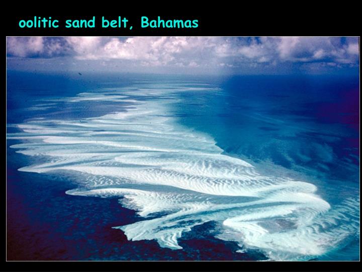 bahama oolite sand
