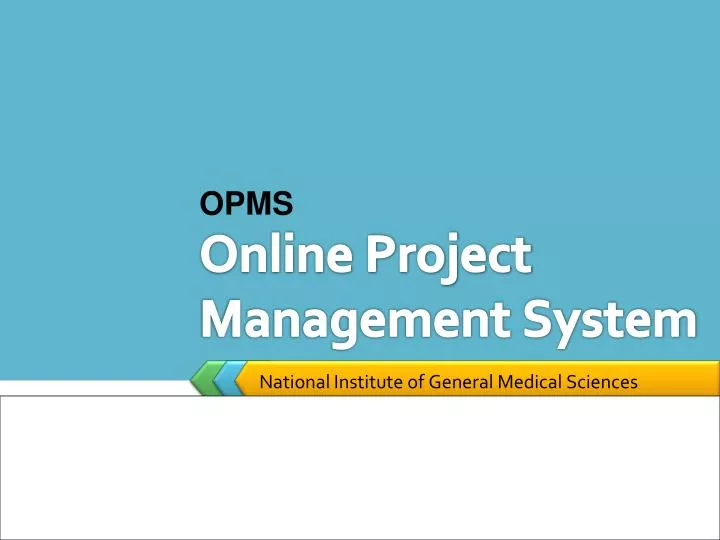 online project management system n.