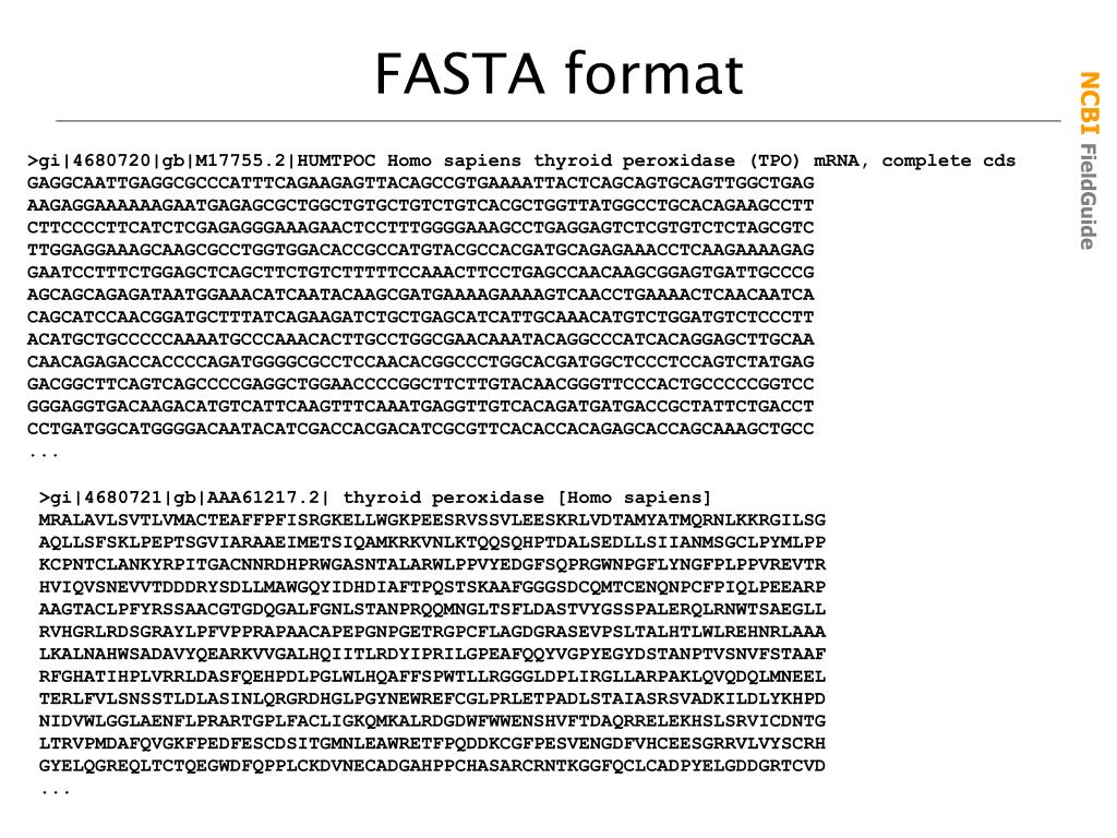Формат фаста. Fasta Формат. Примеры текстов в формате fasta. Fasta fastq Форматы. Синтез fasta format.
