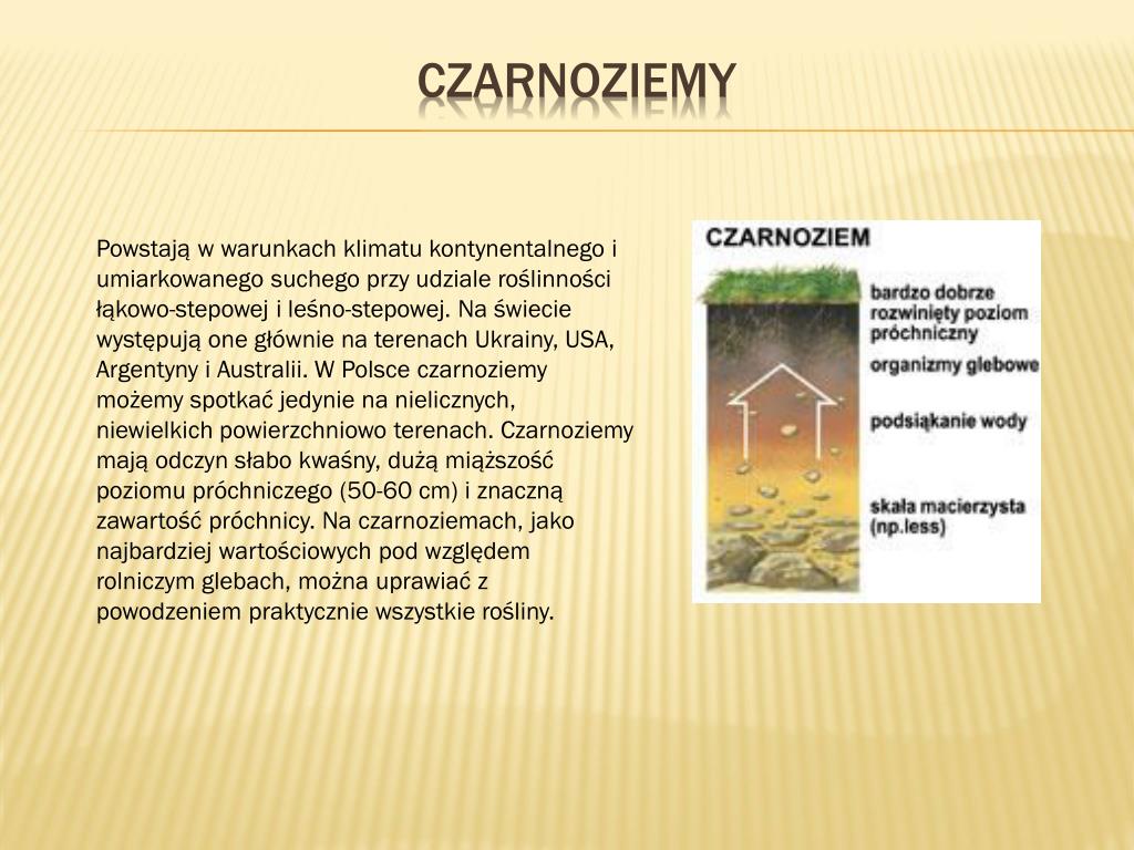 Gdzie Występują Czarnoziemy W Polsce PPT - Opracował Damian Kozłowski PowerPoint Presentation, free download