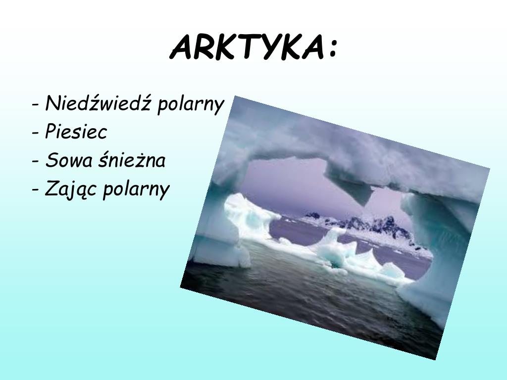 Arktyka I Antarktyda Prezentacja Multimedialna PPT - Zwierzęta żyjące na ANKTARTYDZIE i w ARKTYCE : PowerPoint