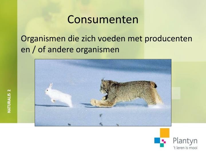 PPT - DEEL 1 Organismen vormen een levensgemeenschap PowerPoint