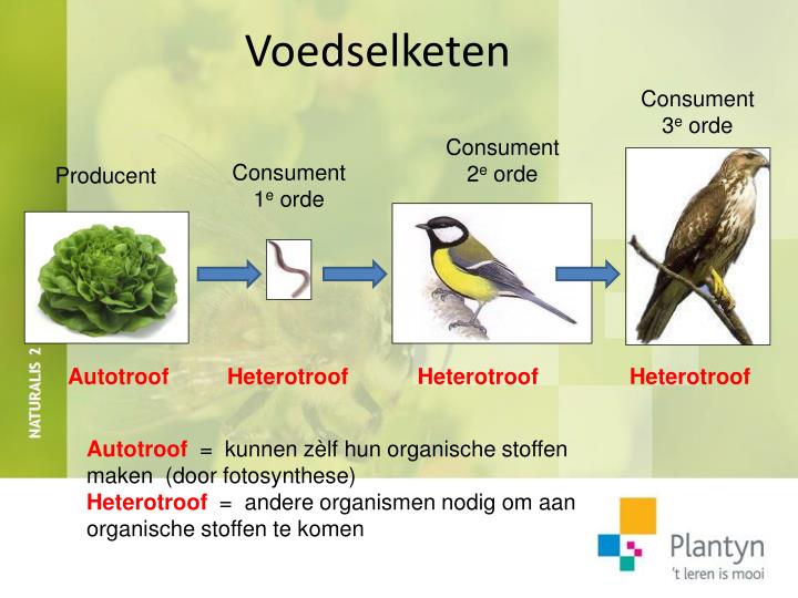 PPT - DEEL 1 Organismen vormen een levensgemeenschap PowerPoint