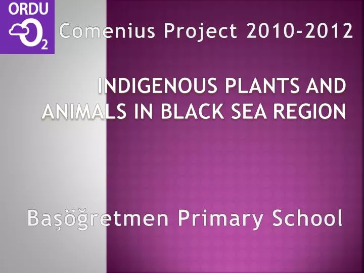 PPT - INDIGENOUS PLANTS AND ANIMALS IN black sea region PowerPoint  Presentation - ID:4537986
