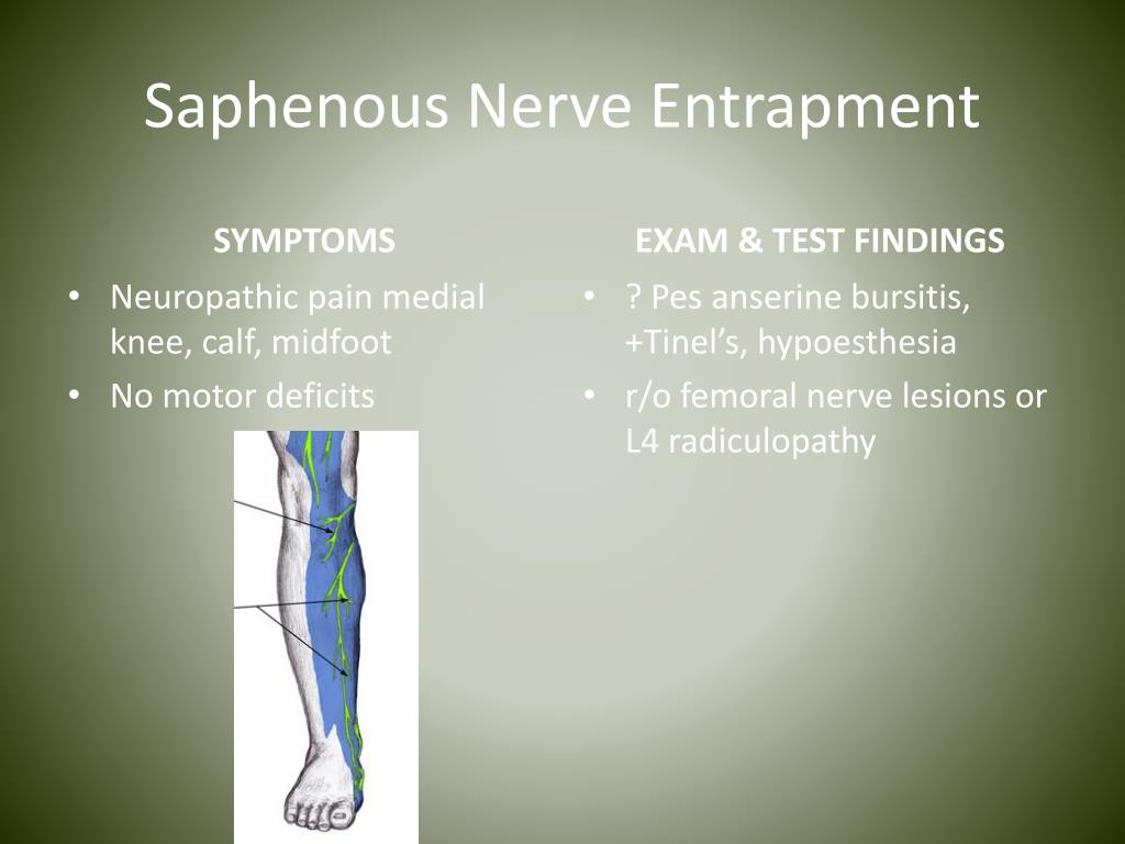 PPT - Nerve Entrapments in Runners PowerPoint Presentation, free