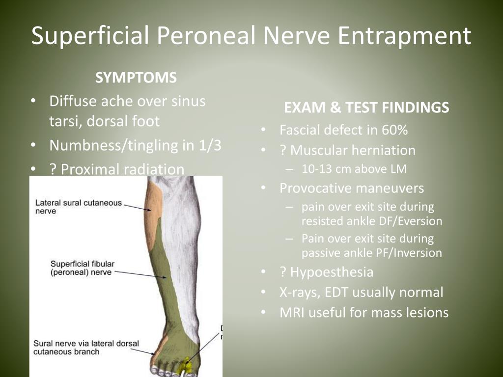 Ppt Nerve Entrapments In Runners Powerpoint Presentation Free