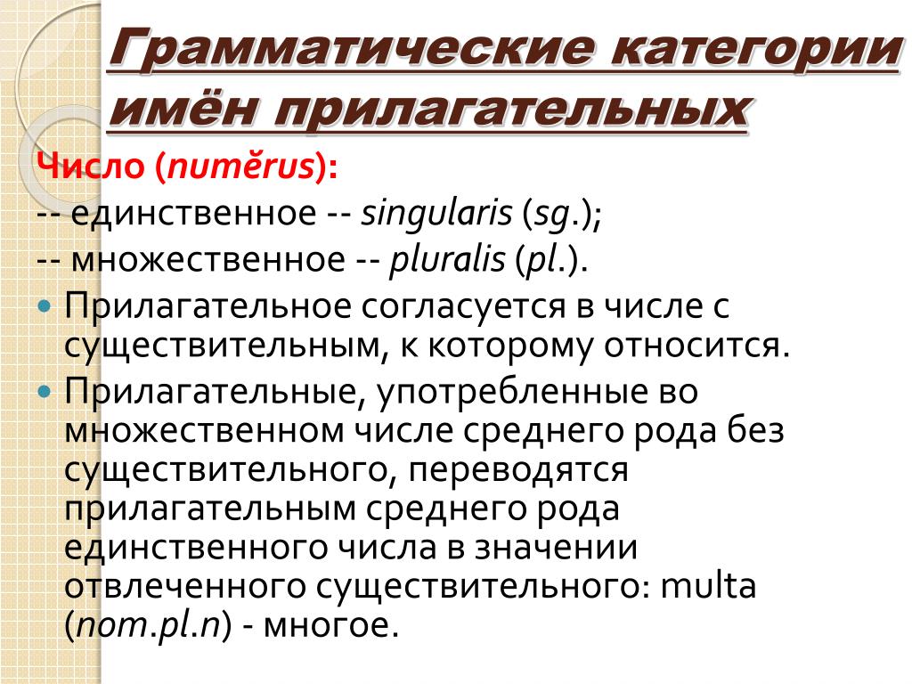 Грамматические категории текста. Грамматическая категория. Грамматическая категория примеры. Виды грамматических категорий. Грамматические категории в русском языке.