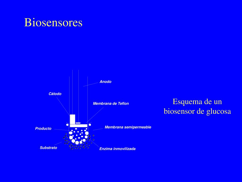 PPT - Enzimas en Medicina Biotecnología enzimática PowerPoint ...