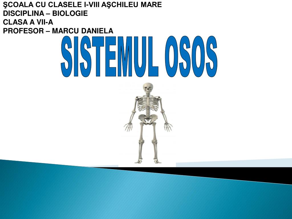 Ppt Sistemul Osos Powerpoint Presentation Free Download Id