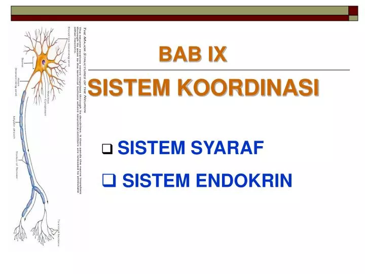 PPT SISTEM KOORDINASI  PowerPoint Presentation free 