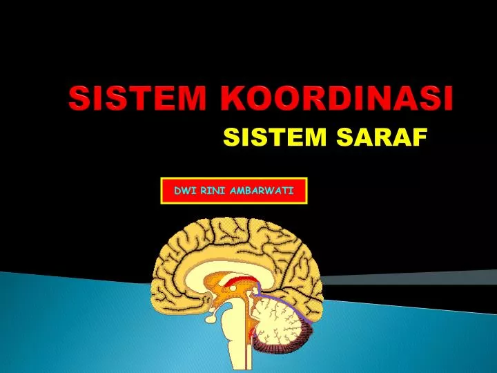PPT SISTEM KOORDINASI  PowerPoint Presentation free 