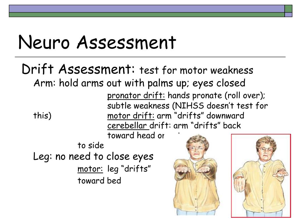 PPT Abbreviated Assessment PowerPoint Presentation Free Download 