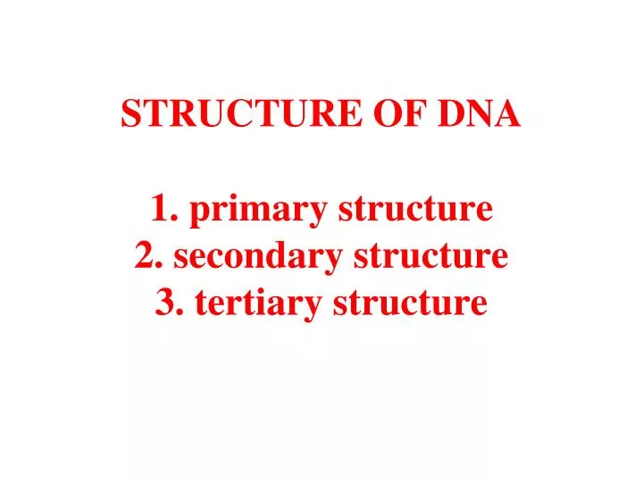 secondary structure of dna