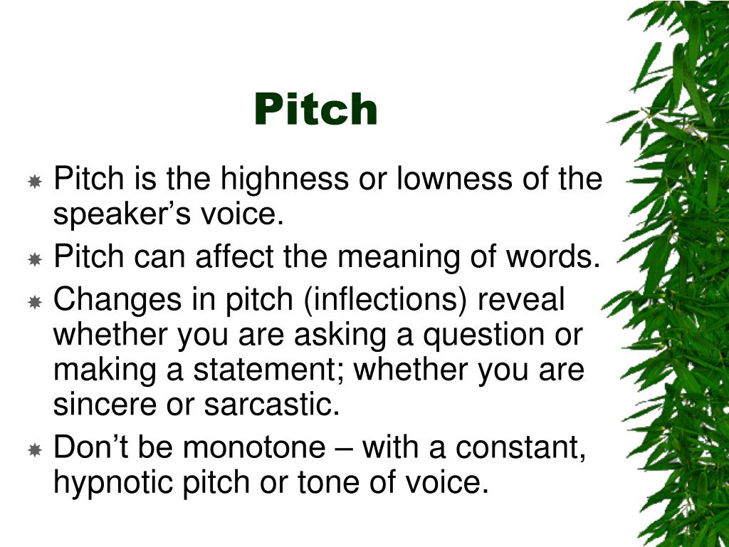 speech definition pitch