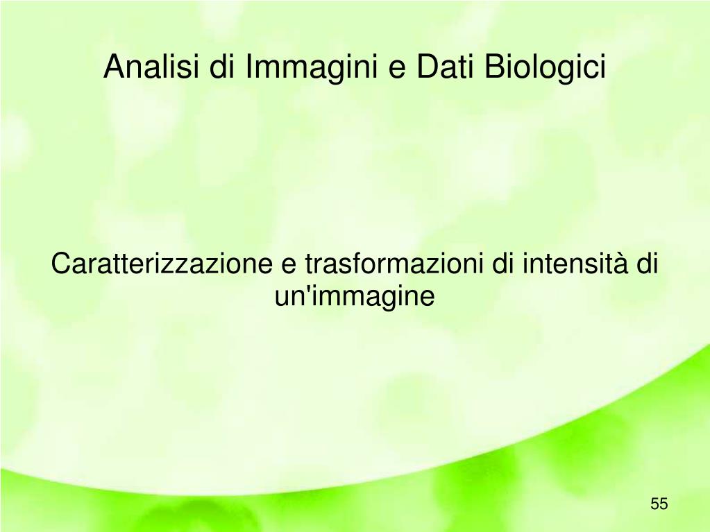 PPT - Analisi di Immagini e Dati Biologici PowerPoint Presentation, free  download - ID:4550251
