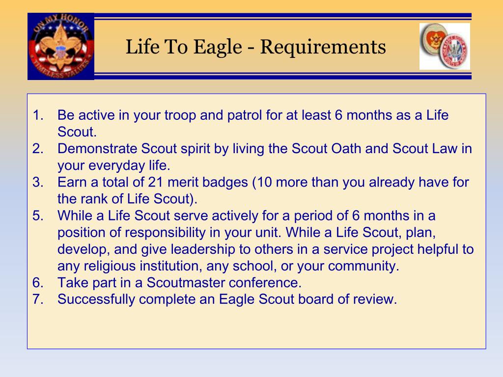 PPT Life To Eagle PowerPoint Presentation, free download ID4551033
