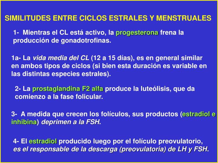 Ppt Los Ciclos Sexuales Femeninos Ciclo Estral Ciclo Menstrual Otros Powerpoint 7704
