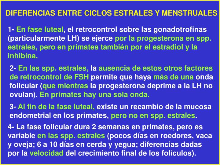 PPT - LOS CICLOS SEXUALES FEMENINOS Ciclo Estral - Ciclo Menstrual
