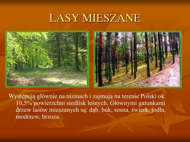 Porównaj Krajobraz Lasów Liściastych I Mieszanych PPT - RODZAJE LASÓW W POLSCE PowerPoint Presentation - ID:4555850
