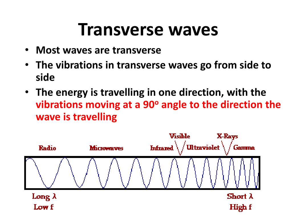 Transverse Waves Examples Diagram And Properties CGMQHV Transverse Waves Examples Diagram And Properties CGMQHV
