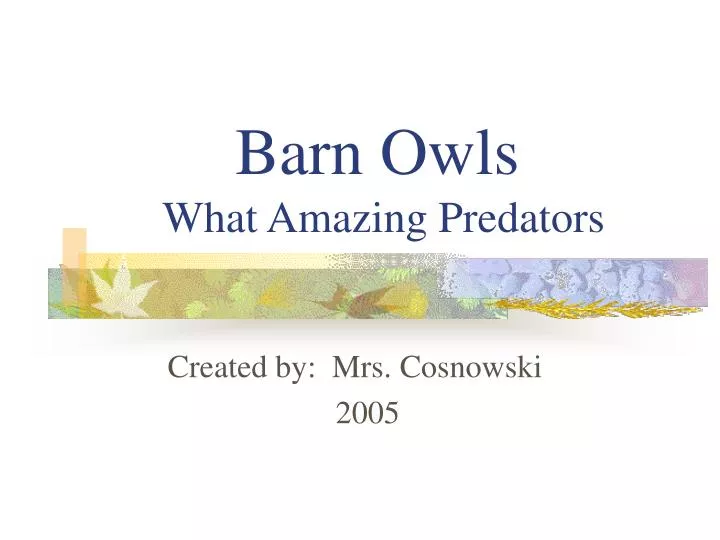 Ppt Barn Owls What Amazing Predators Powerpoint Presentation