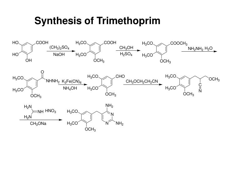 PPT Chapter 19 Antimicrobial Agents PowerPoint Presentation ID4558312