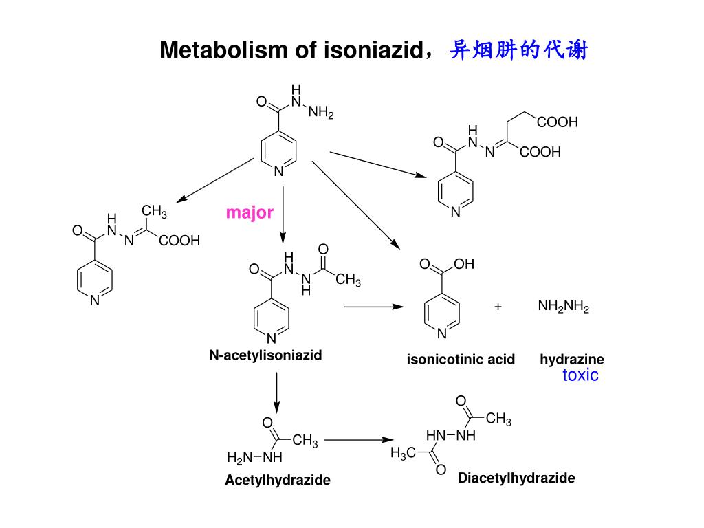 Prednisone retail price