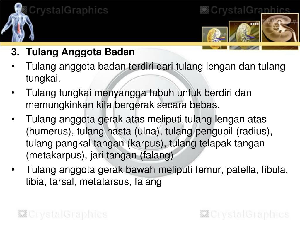 Ppt Sistem Gerak Pada Manusia Powerpoint Presentation Free Download Id 4560408