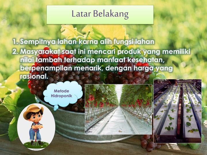 PPT TEKNOLOGI HIDROPONIK PADA TANAMAN BUAH BUAHAN PPT TEKNOLOGI HIDROPONIK PADA TANAMAN BUAH BUAHAN