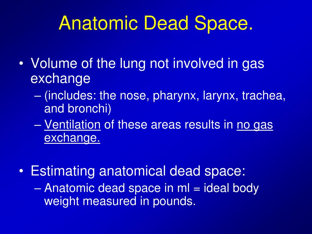 does anatomical dead space change during exercise