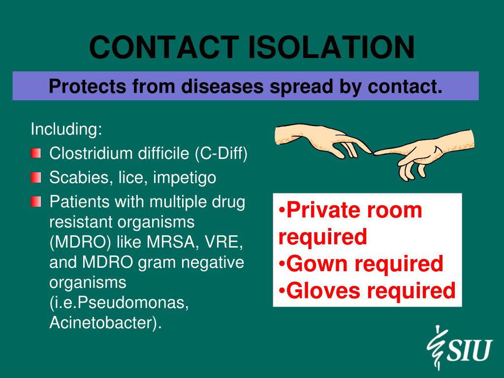 PPT Hand Washing and Isolation Precautions PowerPoint Presentation, free download ID4561975
