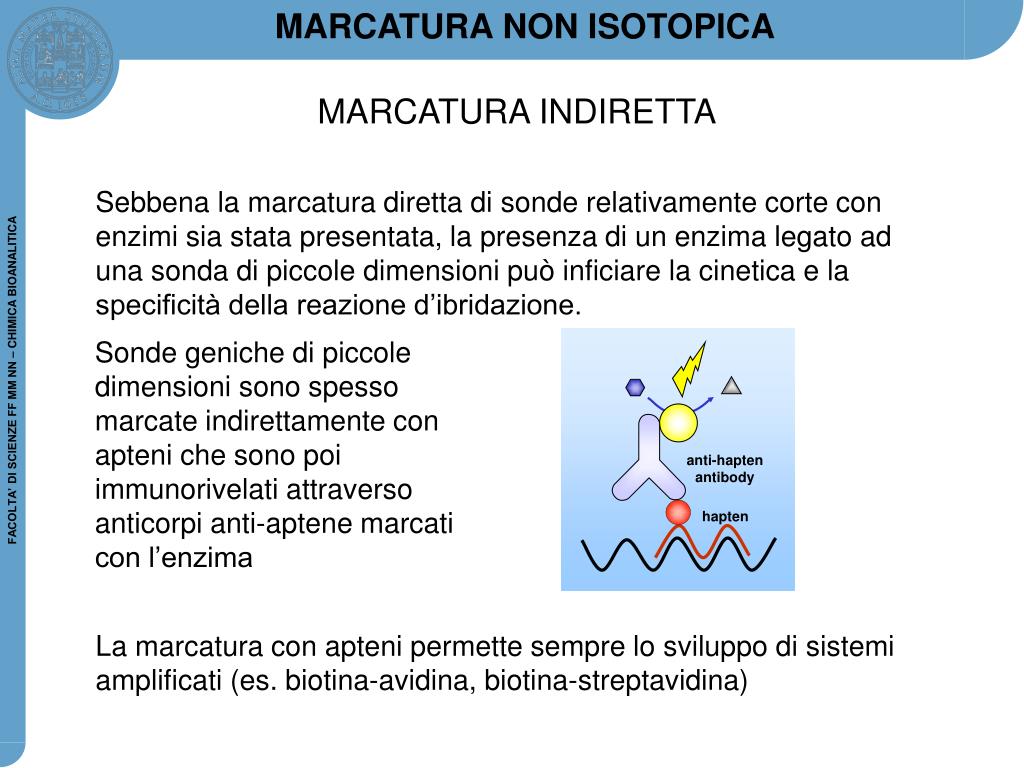 PPT - ANALISI PROTEICA PowerPoint Presentation, free download - ID:4562330
