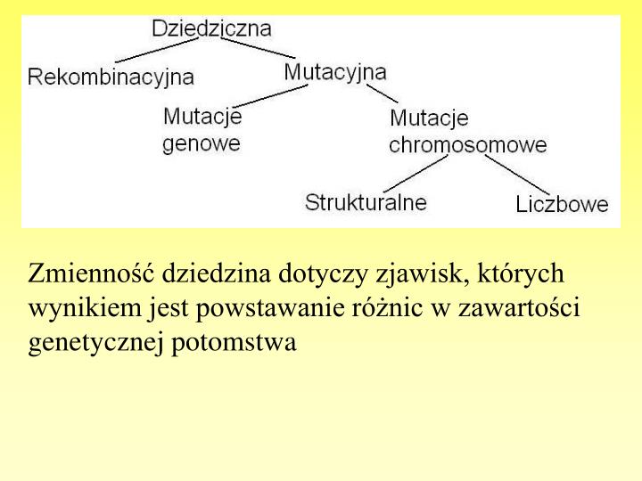 PPT - Zmienność organizmów i jej przyczyny PowerPoint Presentation - ID