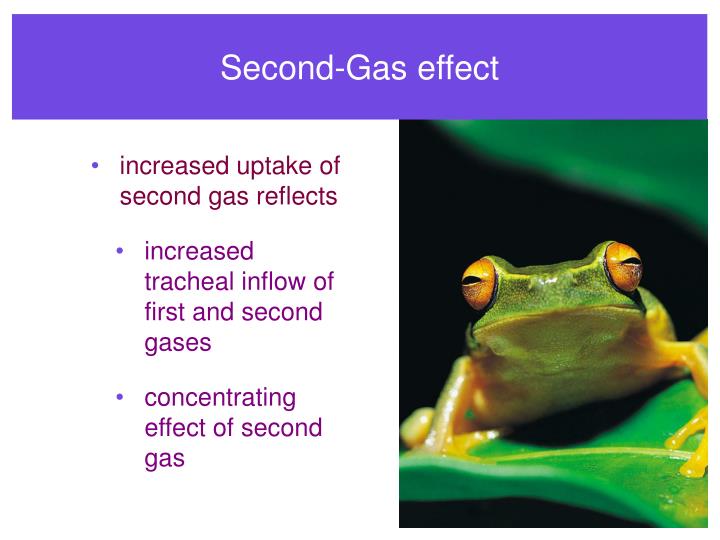 PPT INHALED ANESTHETICS PowerPoint Presentation ID4562595