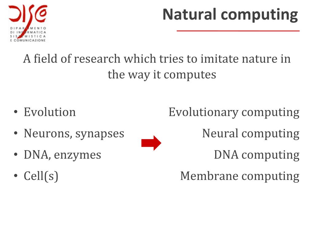 doctoral thesis enzymology