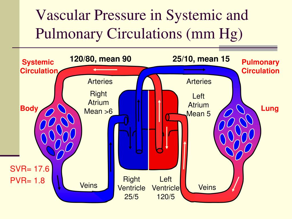 PPT - Pulmonary Hypertension: Overview PowerPoint Presentation, free