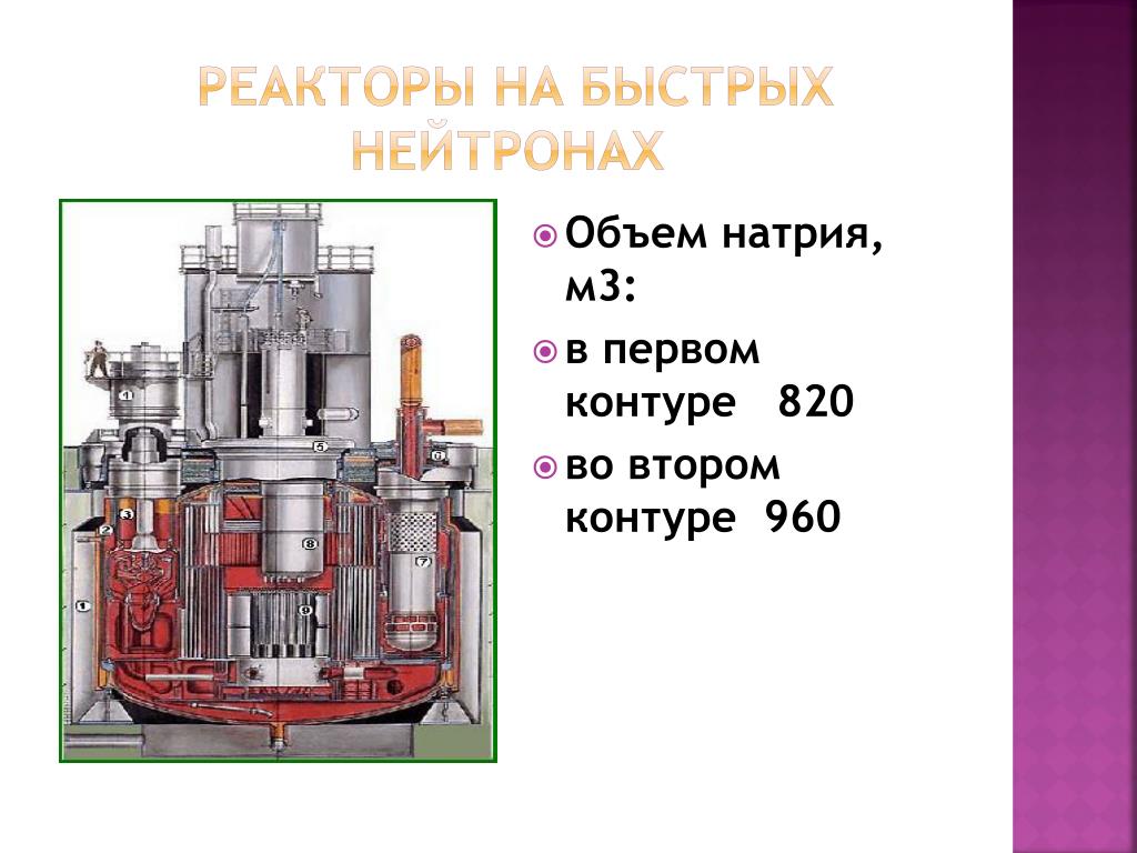 Первая в мире на быстрых нейтронах. БН-800 реактор схема. БН-800 схема. Реактор на быстрых нейтронах с натриевым охлаждением. Реактор на быстрых нейтронах бн40.
