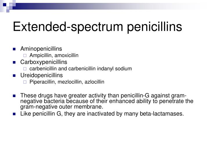 PPT - BETA-LACTAM ANTIBIOTICS PowerPoint Presentation - ID:4567246