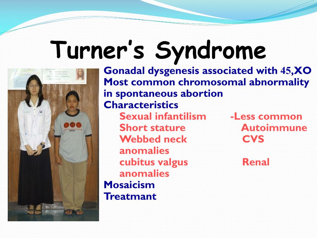PPT - Disorders of menstrual function. Neuroendocrine syndromes in ...