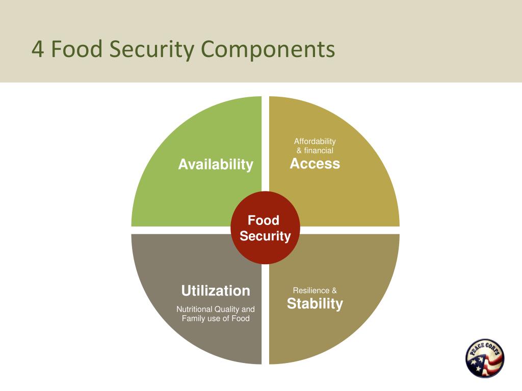 presentation on food security